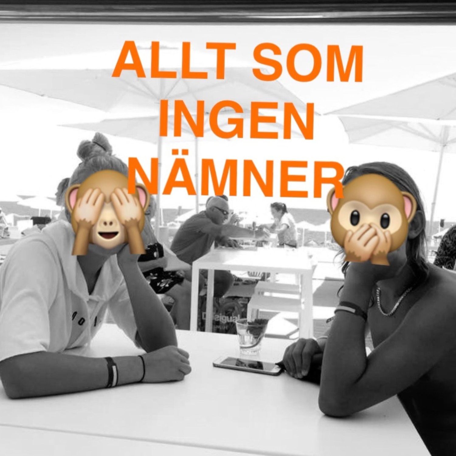 Allt som ingen nämner podcast artwork