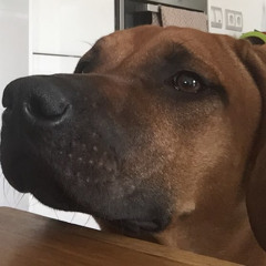 Paul