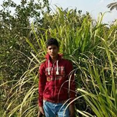 محمد الجزار’s avatar