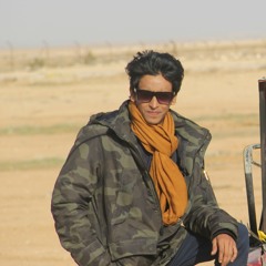 Alvi Navid Ornab