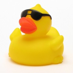 Lil Rubber Duck