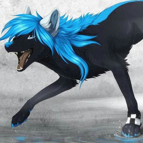 blue dragon’s avatar