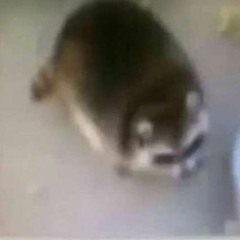 dabitos