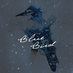 Zee Jay Raïa Riddims #BlueBird