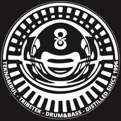Teknambul - Debrass Remix (Live 2015 Extract)