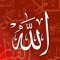 Mymy Mohamed