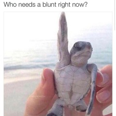 anthonygarthgallagher