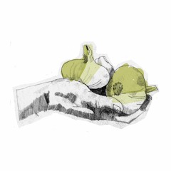 Fermentations Podcast