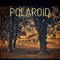 Polaroid