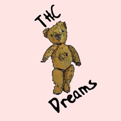 THC Dreams Bristol