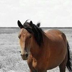 Lunarwolf_99