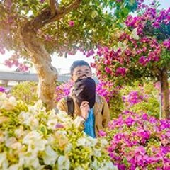 李青霖