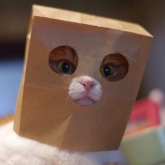 Неизвестный Тони (IMS Prod.)