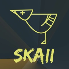 SKAII