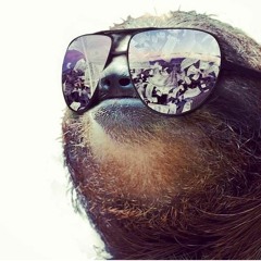 G Sloth