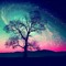 Galaxy Princess