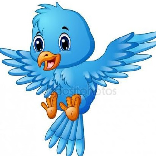 Blue bird Pettersson’s avatar
