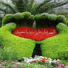 رزق سعيد حجازي