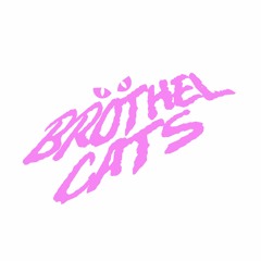 Brothel Cats