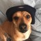 Lil Chico