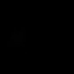 bruja cast
