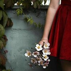 Hafsa Parveen