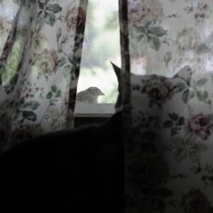 HUNTinHundreds aka Left Over$