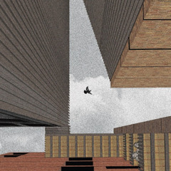 Александра Федоровская