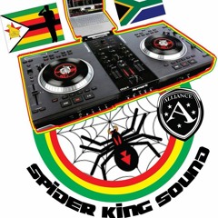Madd Spydah Da Don/ Spider King Sound ZimSA