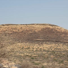 mroet