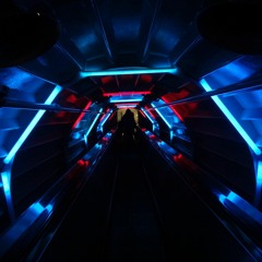 The Ocean And The Shore