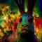 Feier Hase