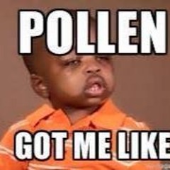 Jeff Leferneson Preptit