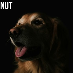 Splash Daddy Chriztof