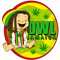 Dwl Jamaica 876
