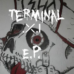 Terminal XI