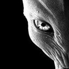 Braz - Out of the Curve