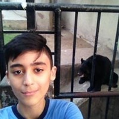 Prince Ismail Mahmood