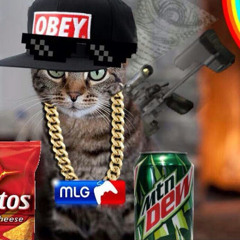 MLG cat