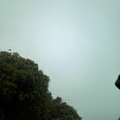 Frostwolve