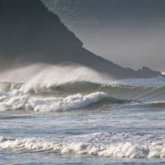 WilHaole