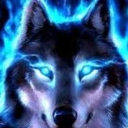 Wolf Web’s avatar