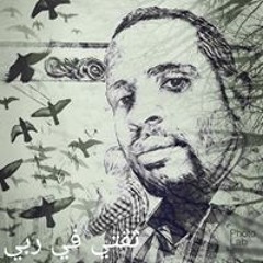 محمد عماد الدين