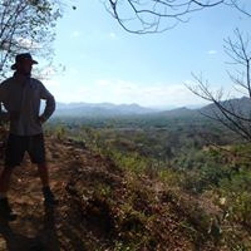 Stream Reggea Is My Religion Music Listen To Songs Albums Playlists