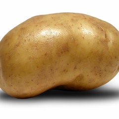 ollinha