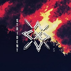 Strident Sounds | STRDNT