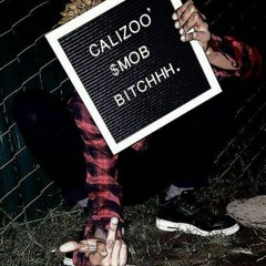 CALIZOO MOB
