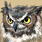Owl in Whole