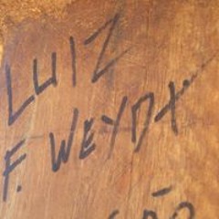 Luiz F. Weydt