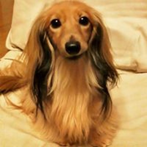 天野遥都 S Stream 天野遥都 S Stream